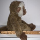 Picture 6 of 22