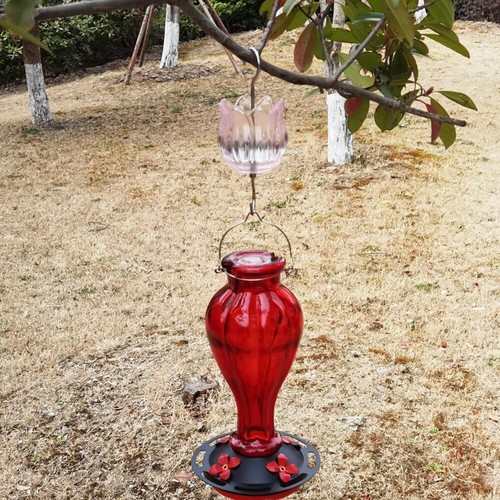 Glass Ant Moat for Hummingbird Feeder - 3 OZ Tulip Insect Guard with Large Capac - Picture 7 of 11
