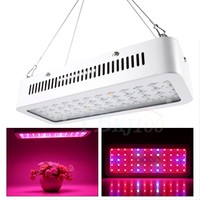 Greenhouse 600w Led Plant Grow Veg Flower Lamp Full Spectrum Hydroponic Light Greenhouse 600w Led Plant Grow Veg Flower Lamp Full Spectrum Hydroponic Light