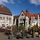 Bild 1 von 12