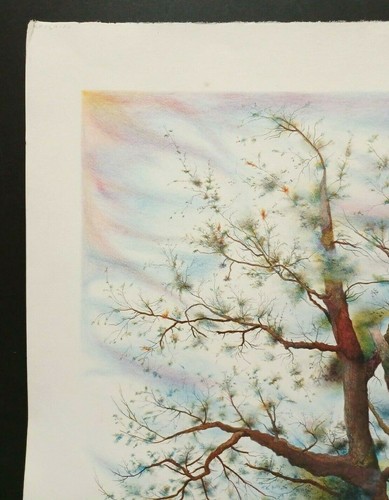 AMERICAN SEYMOUR ROSENTHAL Sd ORIGINAL LIMITED EDITION LITHOGRAPH "IN THE PARK" - Picture 6 of 12