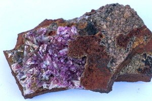 Cobaltoan-Adamite-Purple-Adamite-Ojuela-Mine-Mapimi-Durango-Mexico