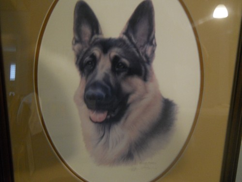 LOUIS FRISINO Hund KUNSTDRUCK Gr/N 156/900 Deutscher Schäferhund RAHMEN Passepartout - Bild 4 von 7