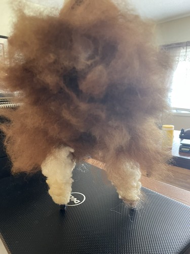 Alpaca /Llama Stuffed Animal Baby Alpaca Fur Plush Peruvian 16” - Picture 7 of 12