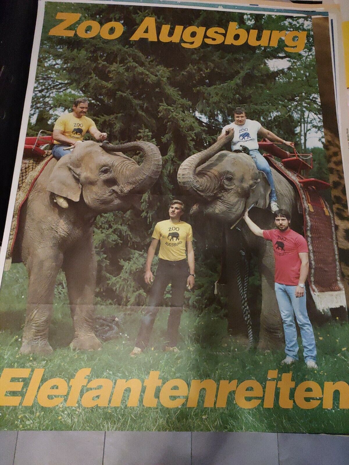 Bild 1 von 1