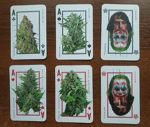 Playing cards, Bob Marley, 54 pieces of playing cards, art, collectible cards - Picture 21 of 24