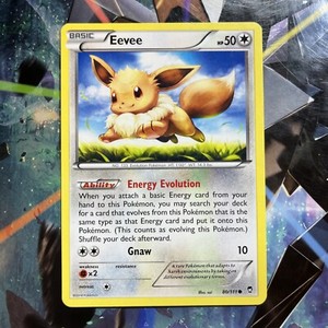 Pokemon - Eevee - 80/111 - Common - XY - Furious Fists - NM p5