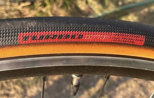 Specialized Langster mit Freilauf RH 49 - Bild 4 von 5