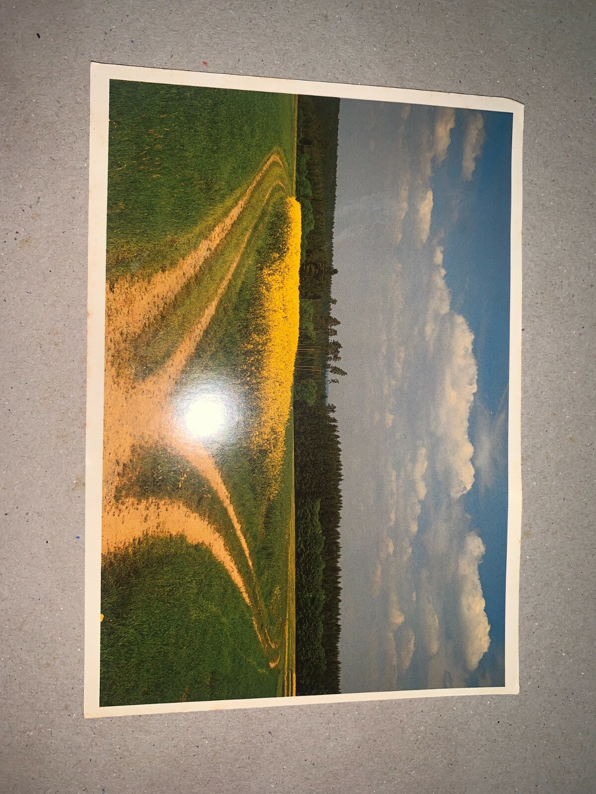 Picture 3 of 12