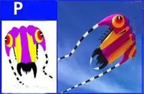 Trilobites Kite Factory Big Kite for Adults Soft Kites Inflatable Paragliding - Picture 38 of 51