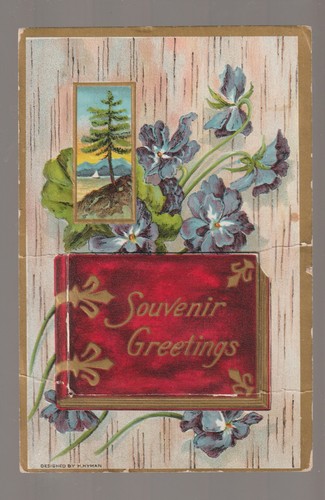 Granite Falls MINNESOTA c1910 SOUVENIR BOOKLET 8 ANSICHTEN Postkarte bei Montevideo MN - Bild 2 von 3