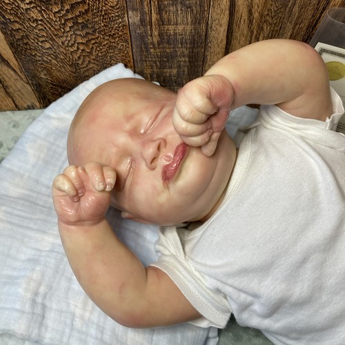Realborn Reborn Doll Grumpy Sage 4 Month 23" BOO BOO By Bountiful Baby With COA - Picture 21 of 23