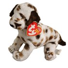 Ty Beanie Baby - Bo the Dalmatian Dog (6 inch) - Mwmts Stuffed Animal Toy