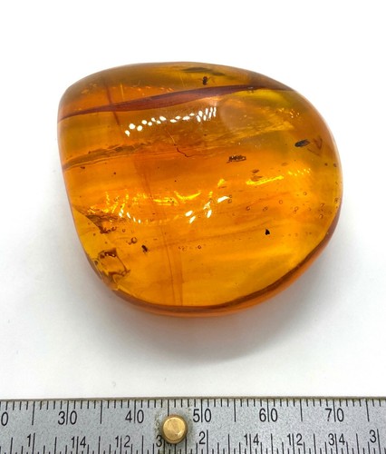 24 gram Amber with multiple insects - Dominican Republic amber fossil - natural - Picture 2 of 9