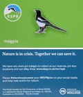 RSPB Pin Badge Magpie NIIC P02993