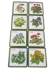 Vintage Coasters Set Of 8 Botanical Flora Flower Garden Cork Backing In Box