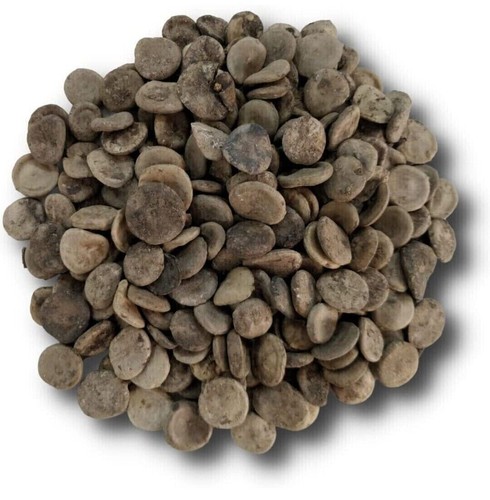 Lifar Crushed ,Kachula Seed ,Strichnose Nux,Vomika,Kajara,Nux Vomica Seeds 500gm - Picture 3 of 3