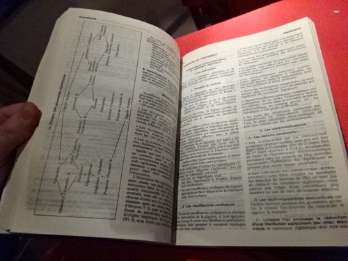 PERLEMUTER/OBRASKA ET QUEVAUVILLIERS - Dictionnaire pratique de thérapeutique... - Imagen 4 de 9