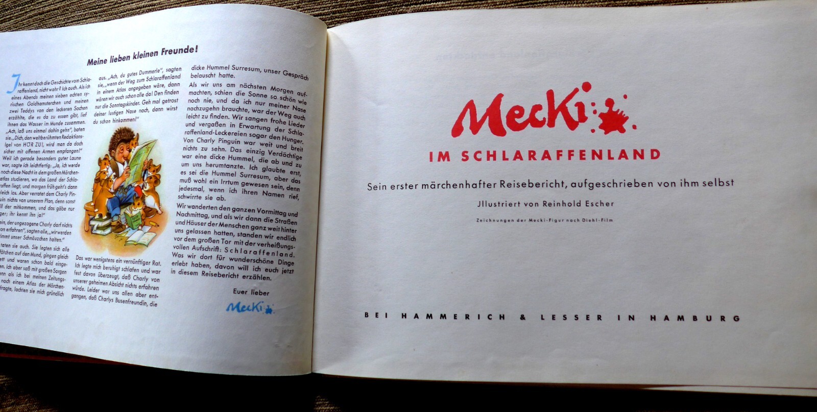 Bild 10 von 10