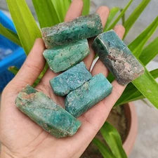 Natural 1442 Ct Certified Colombian Uncut Green Emerald Rough Gemstone 6Pcs Lot