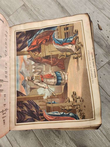 Really Old Illustrated Bible In German Or Some Language Survived A Fire - Picture 9 of 19