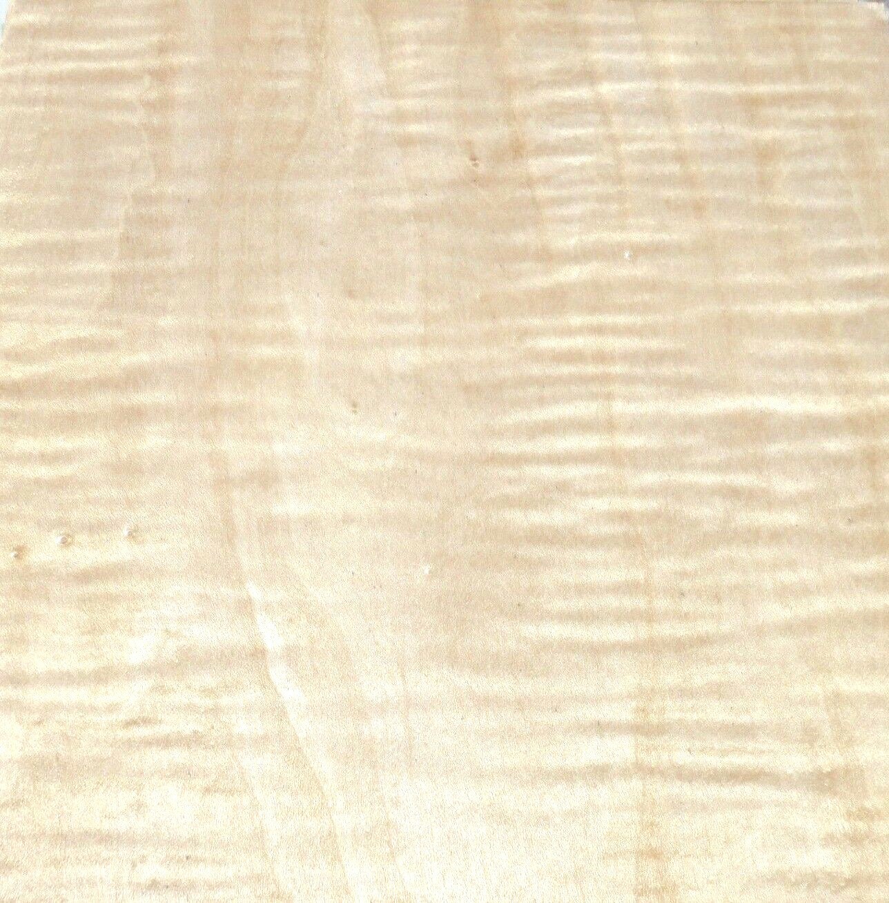 Picture 6 of 12