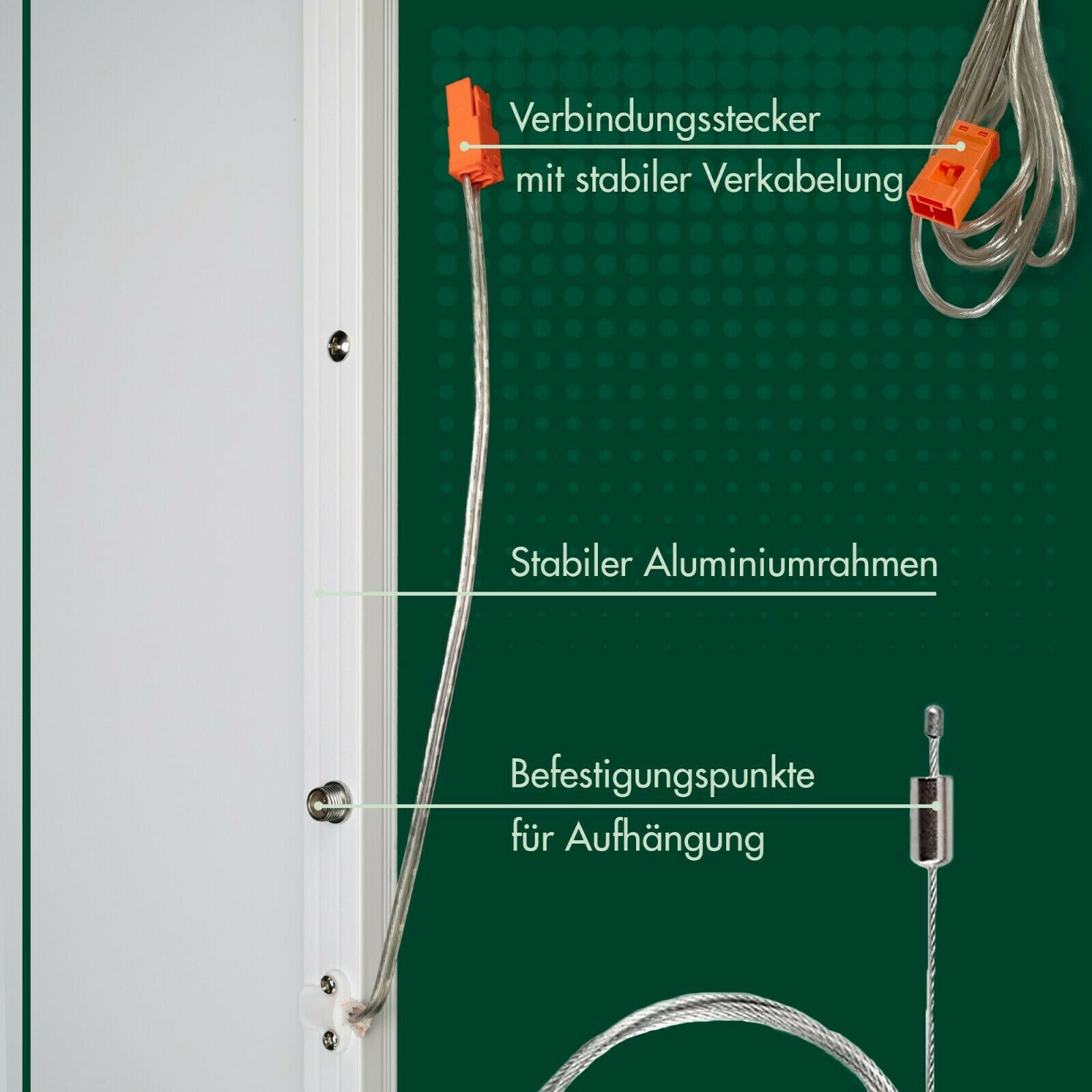 Bild 5 von 7