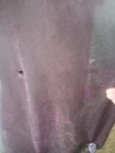 Bild 11 von 12