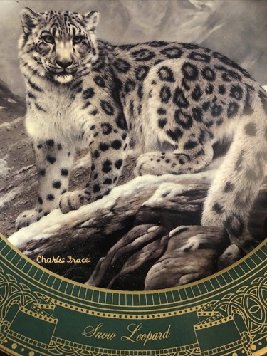 Schneeleopard Charles Frace Königreich der großen Katzen Gold Signatur Sammlung Teller - Bild 4 von 4
