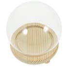  Miniatur-Vitrine Kleine Glaskuppel Schaukasten Glaskuppelabdeckung