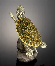 Bandai Gashapon Turtle 02 Action Figure ADVANCE Rio Grande Cooter Turtle w/Stand
