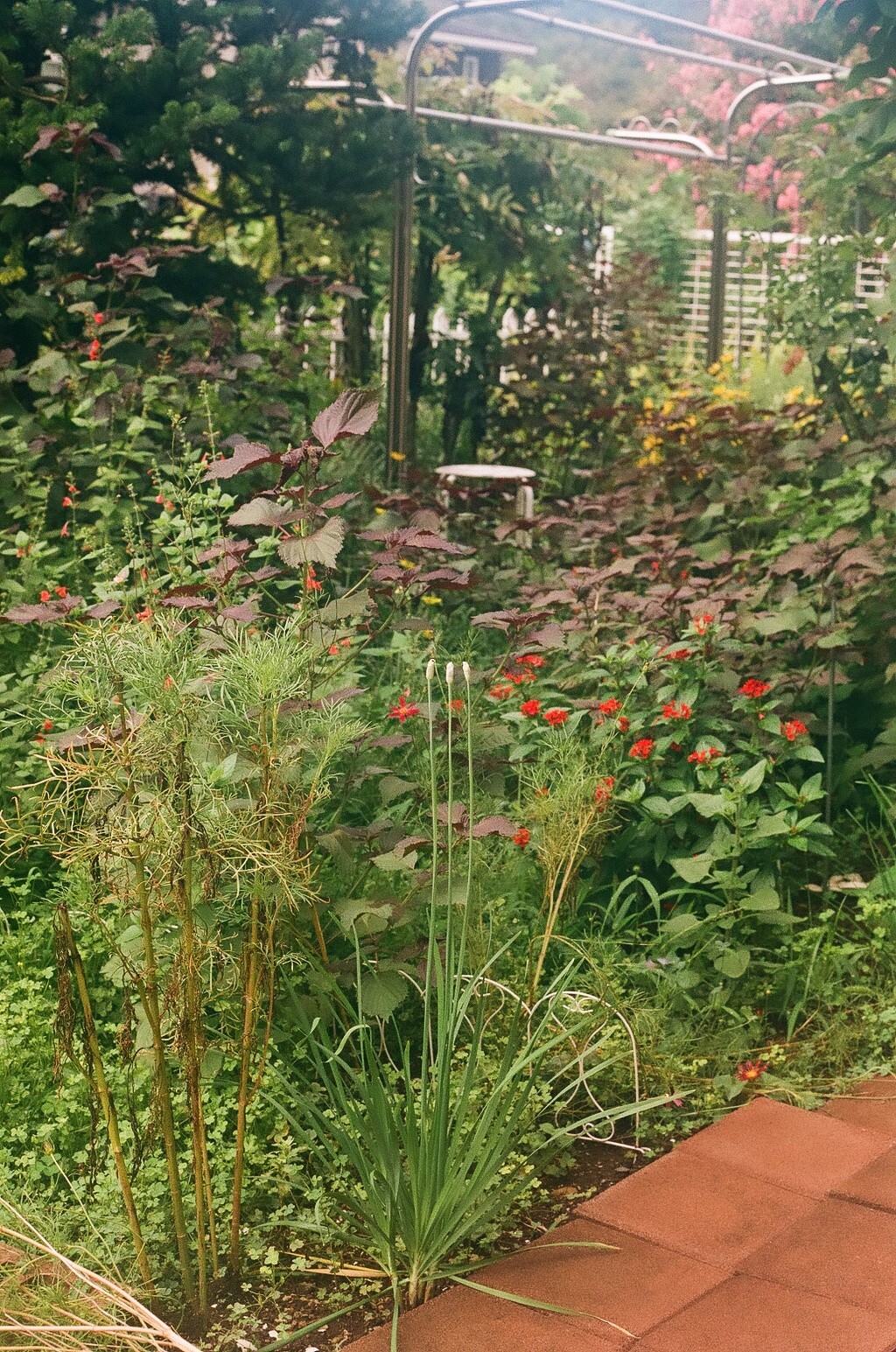 Picture 22 of 24