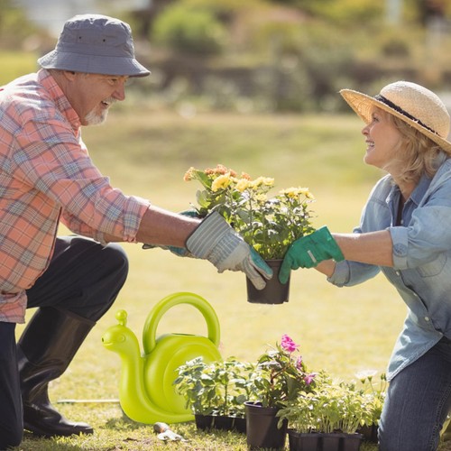 Watering Can, Gardening Tools, Cute Cartoon Shape, Thickened Outdoor Plant Water - Picture 8 of 14