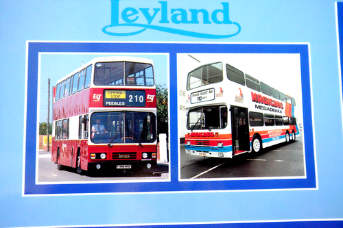 ALEXANDER LEYLAND BUS COACH VERKAUFSPROSPEKT - Bild 4 von 9