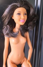 Barbie Fashionistas AA Nikki Doll Jointed Knees Hybrid OOAK
