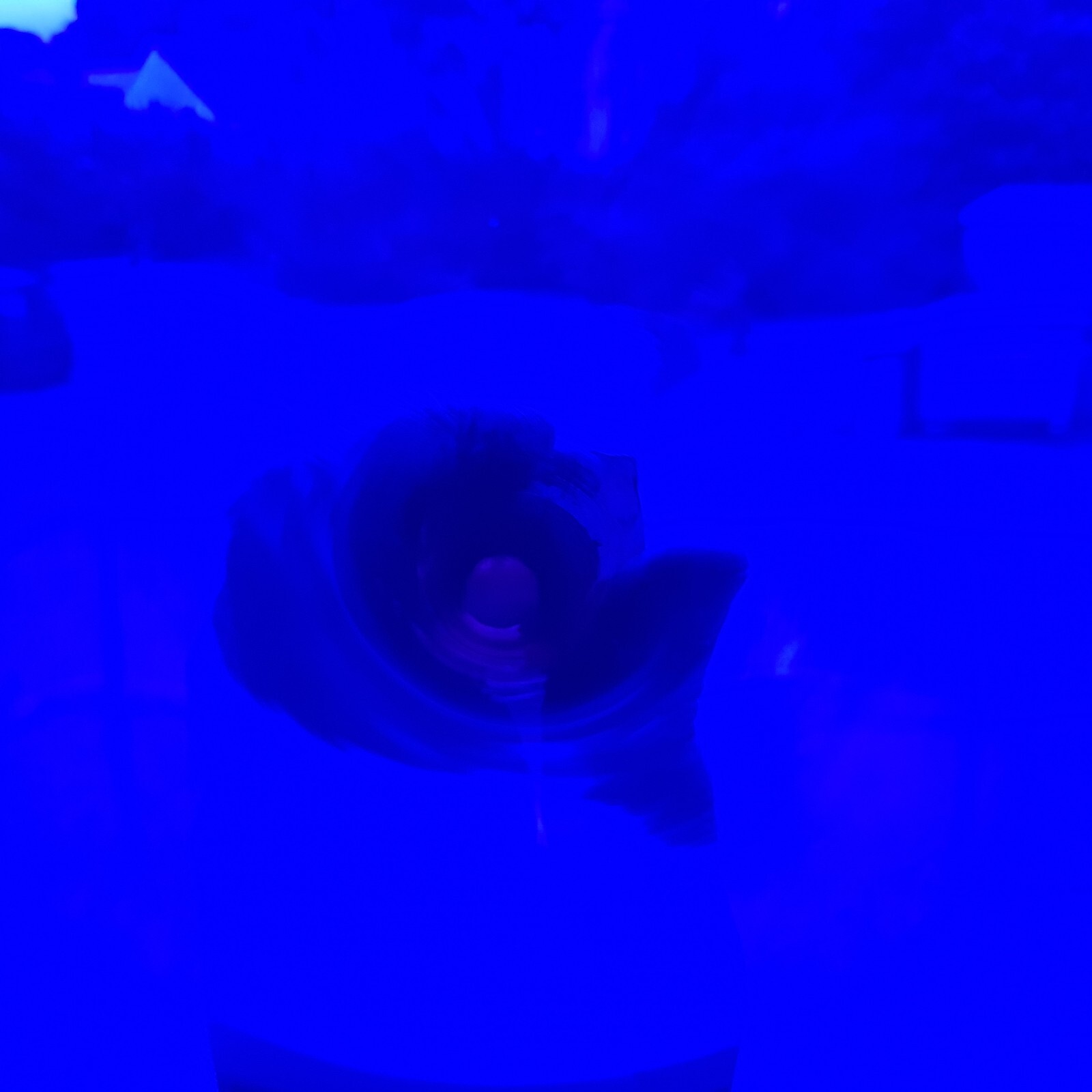 Foto 22 di 24