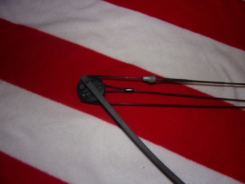 Browning Fox 1 Youth Compound Bow - Picture 3 of 12