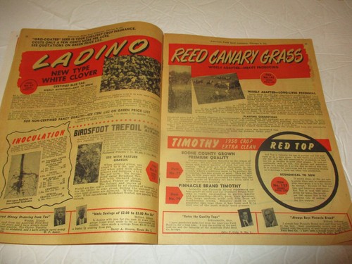 American Field Seed Co. catalog 1951 (Chicago) vintage agriculture, alfalfa - Picture 13 of 15