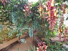 Foto 4 di 5