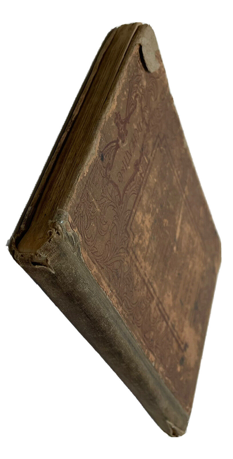Picture 6 of 11