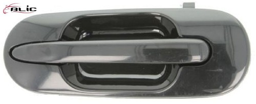 BLIC 6010-12-028403P Türgriff für Honda für Rover