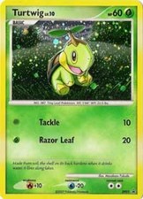 Heavy Play x 1 Turtwig - DP01 - Promotional Black Star Promos: Diamond & Pearl