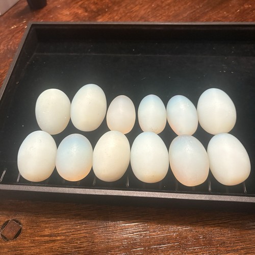 Opalite Crystal Eggs Lot of 12 Frosted Small Approx 1"-2” - Picture 1 of 10