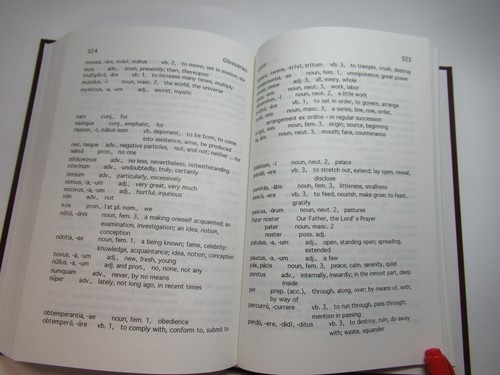 The Old Saxon Language: Grammar, Linguistic Interference Irmengard Rauch 1992 - Picture 6 of 24