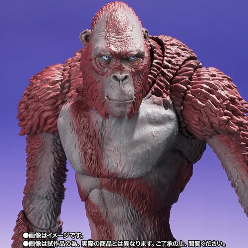 Bandai S.H.Monsterarts Godzilla X Kong the New Empire Scar King - Picture 2 of 8
