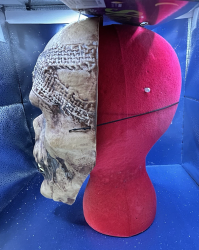 Divertido Mundo Adulto Calavera Esqueleto Momia Plástico Personaje Disfraz Máscara Nuevo con Etiqueta - Imagen 6 de 21