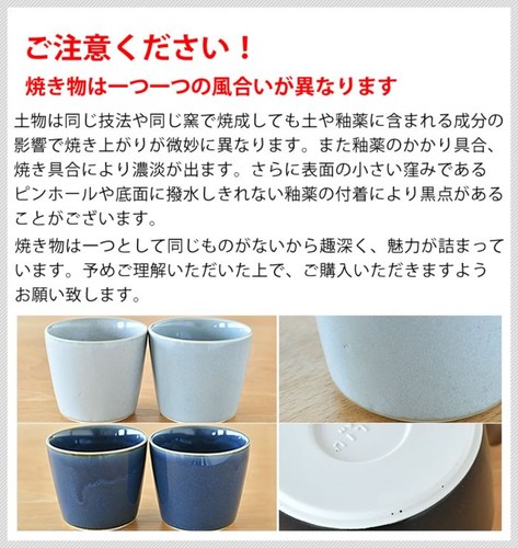 Tokoname Teapot LOLO Rolo 360ml Porcelain Teapot Mino Ware Made in From Japan - Bild 12 von 14