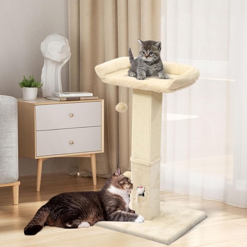 Cat Scratching Post for Indoor Cats and Kitten 32 In, Beige - Picture 2 of 7