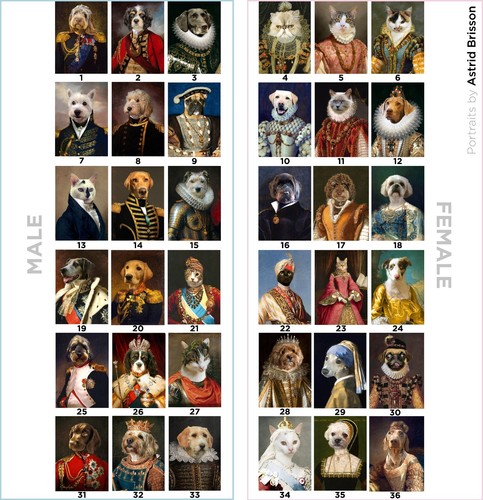 Custom Personalised Pet / person Your photo as Portrait Queen / King /Henry VIII - Picture 2 of 12