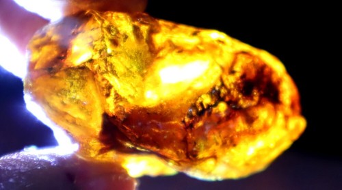 Exquisite Natural Dominican Clear Deep Blue Amber Rough Specimen 45mm 12.7g - Picture 15 of 15
